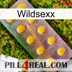 Wildsexx new11